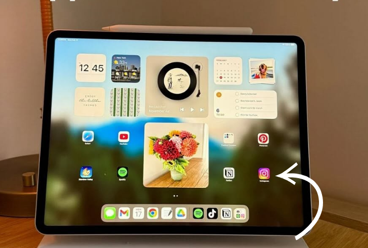 Instagram iPad app